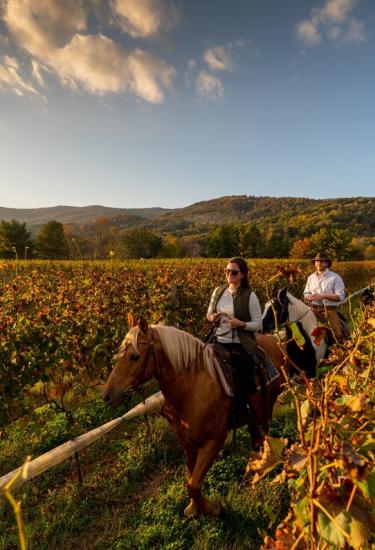 A couple rides horseback through a vineyard in autumn